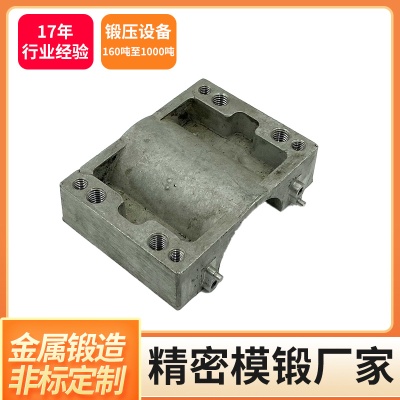 铝钛合金不锈钢精密零件锻造非标五金件定制铜铁件锻造件cnc加工